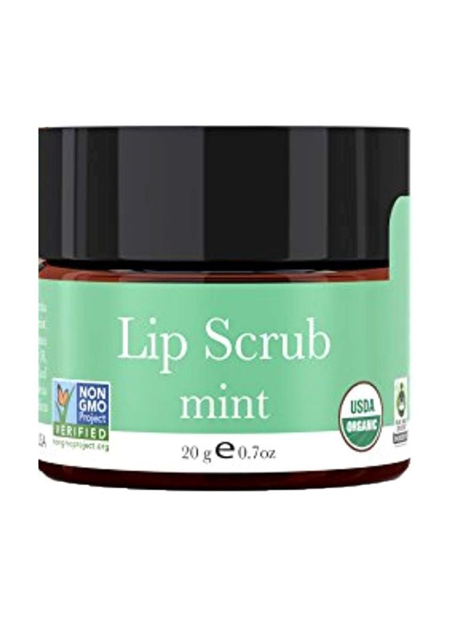 USDA Organic Lip Scrub Mint - USA Made with Natural Ingredients, Stocking Stuffers for Men & Wife, Sugar Scrubber Exfoliator for Dry Lips, Best Cheap Beauty Stocking Stuffers for Women & Teen Girls