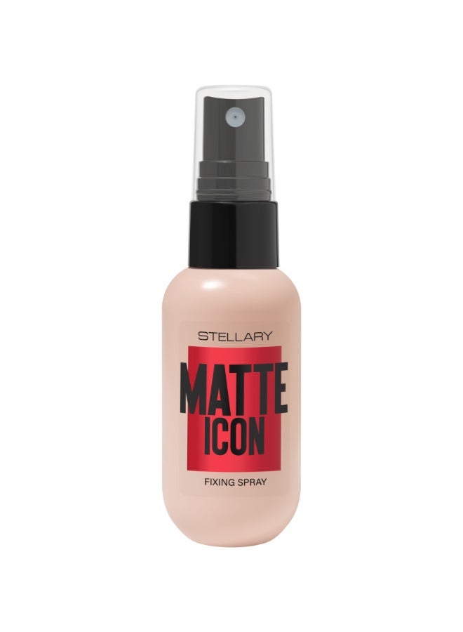Mattifying Fixing Spray Matte Icon