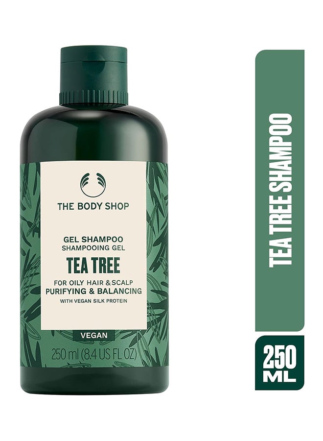 Tea Tree Purify Shampoo for Oily Hair & Scalp | Deep Cleansing, Purifying & Refreshing Formula | With Community Fair Trade Tea Tree Oil | Vegan, 250ml
