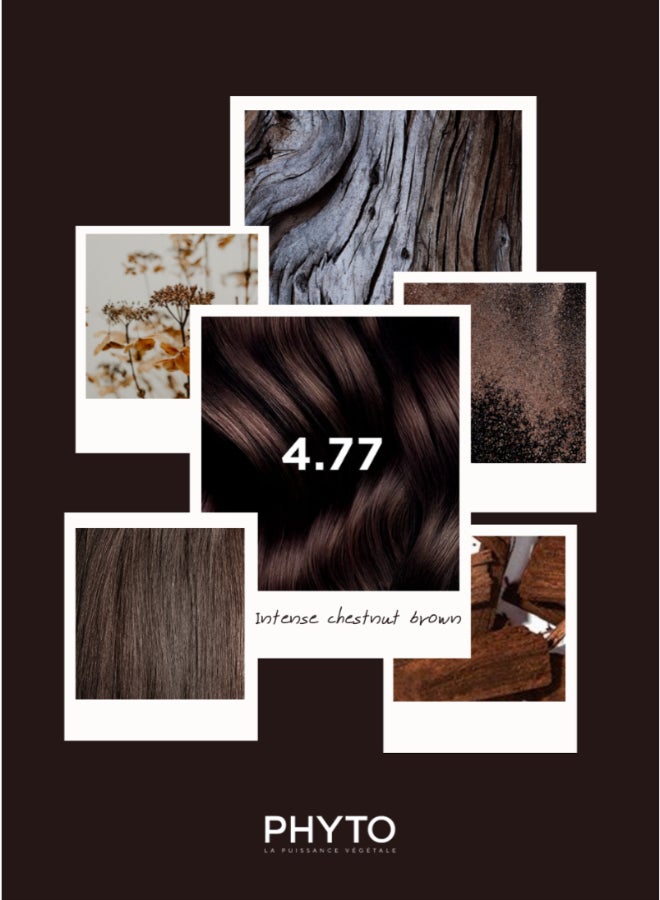 Phyto PhytoColor Permanent Hair Color Kit, Shade 4.77 Intense Chestnut Brown, Ammonia-Free Botanical Hair Dye with 100% Grey Coverage - image 10