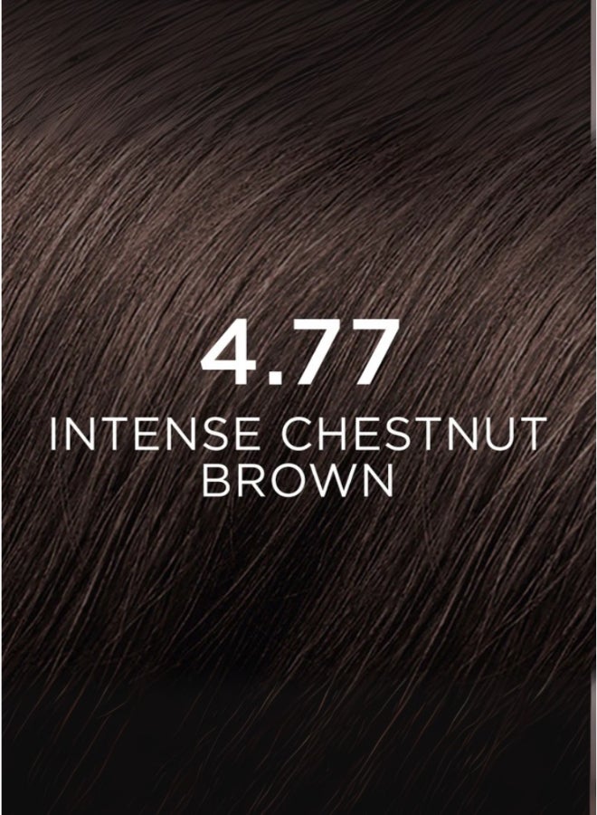 Phyto PhytoColor Permanent Hair Color Kit, Shade 4.77 Intense Chestnut Brown, Ammonia-Free Botanical Hair Dye with 100% Grey Coverage - image 4