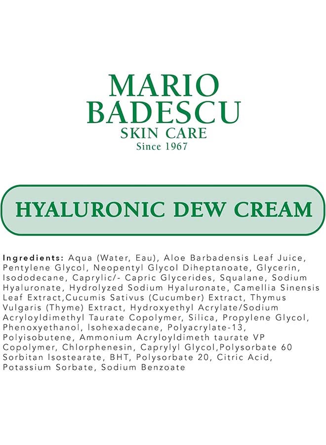 Hyaluronic Dew Cream 42 g | Lightweight Hyaluronic Acid Hydrating Face Moisturiser for Dewy Plump Skin | Deep Moisture-Locking Cream for Dry & Dehydrated Skin | Non-Greasy Everyday Hydrating Dew Face Cream - image 9