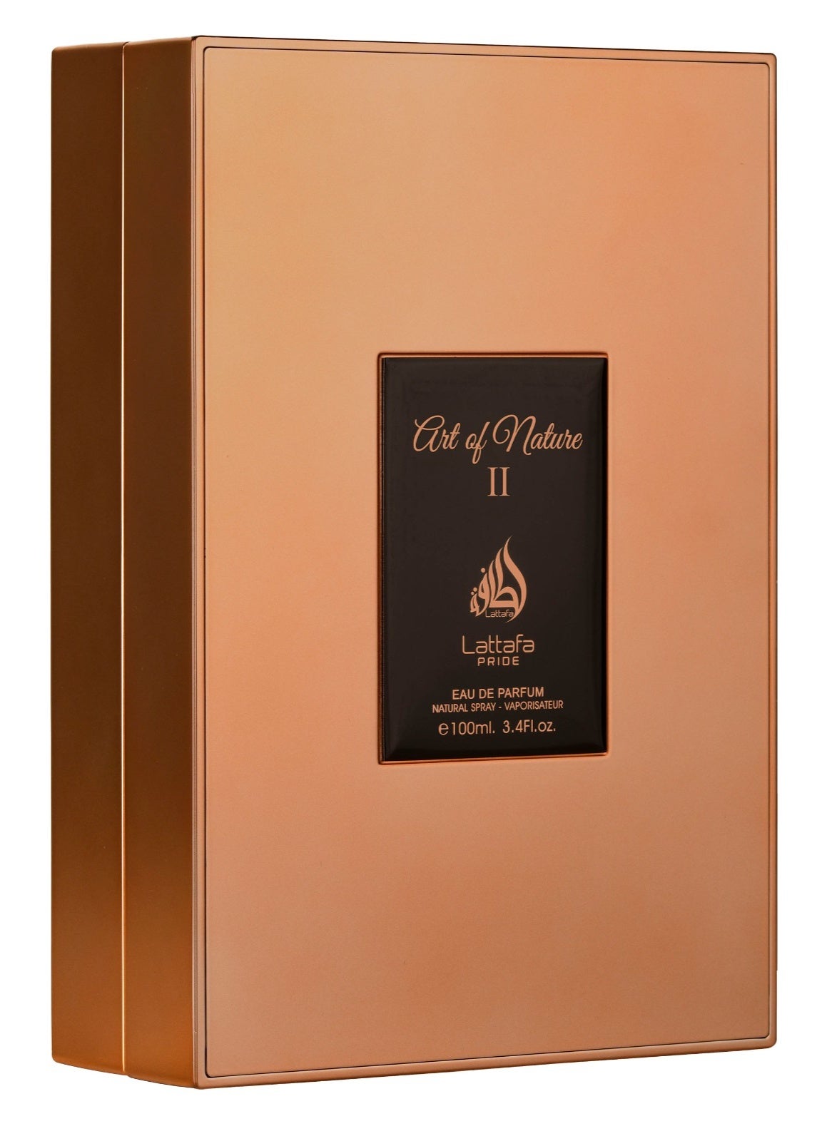 Spray Art of Nature II EDP 100ml - image 2