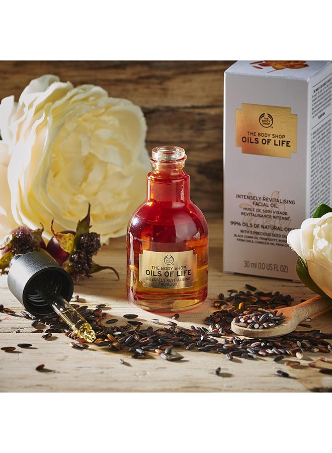 Oils of Life Intensely Revitalising Facial Oil for Dry Skin – Lightweight Moisturiser with Black Cumin, Camellia & Rosehip Seed Oils, Hydrates, Soothes & Revives Radiance, 99% Natural Ingredients, Suitable for Sensitive Skin - image 5