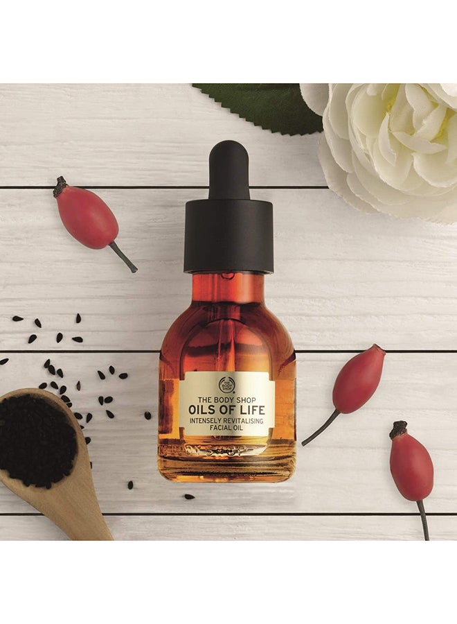 Oils of Life Intensely Revitalising Facial Oil for Dry Skin – Lightweight Moisturiser with Black Cumin, Camellia & Rosehip Seed Oils, Hydrates, Soothes & Revives Radiance, 99% Natural Ingredients, Suitable for Sensitive Skin - image 6