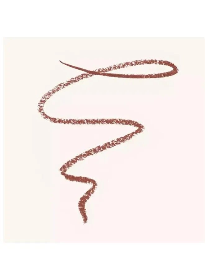 Plumping Lip Liner 069 Mainhattan - image 3