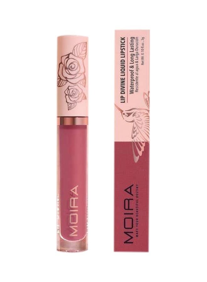 Lip Divine Liquid Lipstick (022, Rarest)