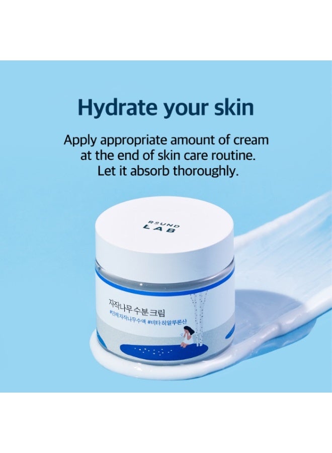 Birch Juice Moisturizing Cream | Deep Hydration & Skin Barrier Care - 80ml - image 3