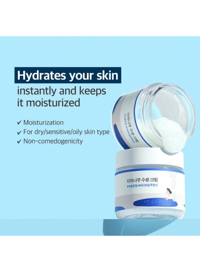 Birch Juice Moisturizing Cream | Deep Hydration & Skin Barrier Care - 80ml - image 4
