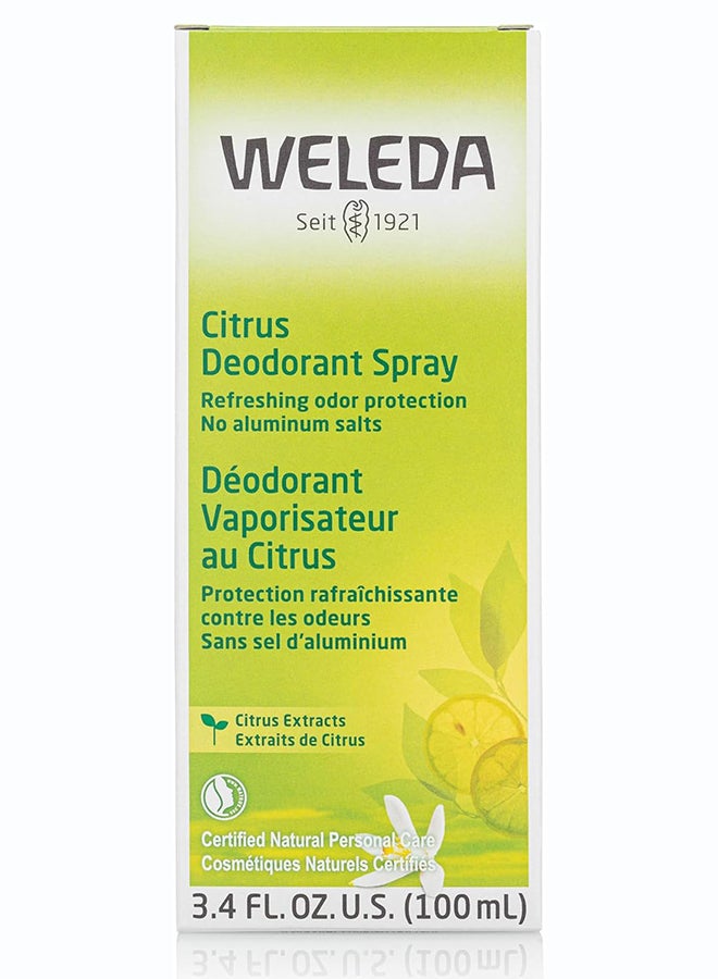 Citrus Deodorant Spray (100 ml) – Natural 24-Hour Deodorant for Long-Lasting Freshness, with Lemon Essential Oil, Aluminum Salt-Free - image 2