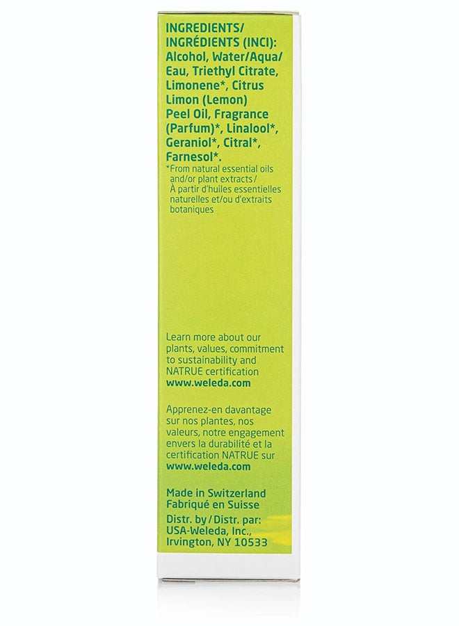 Citrus Deodorant Spray (100 ml) – Natural 24-Hour Deodorant for Long-Lasting Freshness, with Lemon Essential Oil, Aluminum Salt-Free - image 3