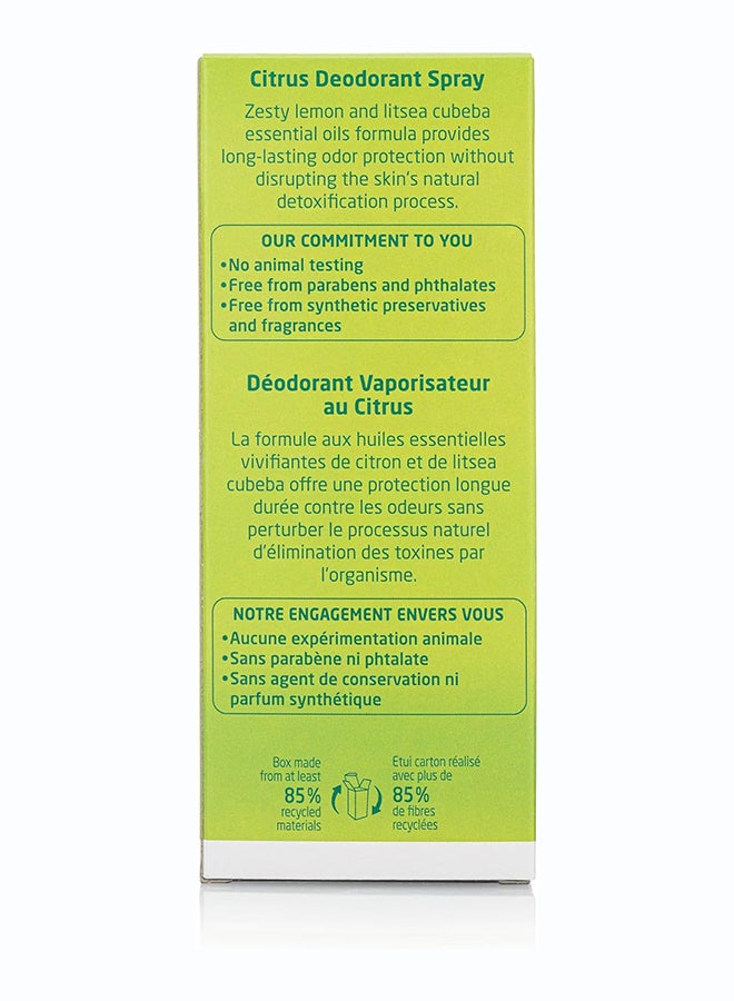 Citrus Deodorant Spray (100 ml) – Natural 24-Hour Deodorant for Long-Lasting Freshness, with Lemon Essential Oil, Aluminum Salt-Free - image 4