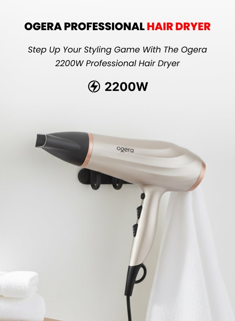 2200W Professional Hair Dryer – Powerful Motor, 2 Speed & 3 Heat Settings, Cool Shot Button, Hair Concentrator & Diffuser Attachments, Overheat Protection – Model OG2701HD, Silver & Black