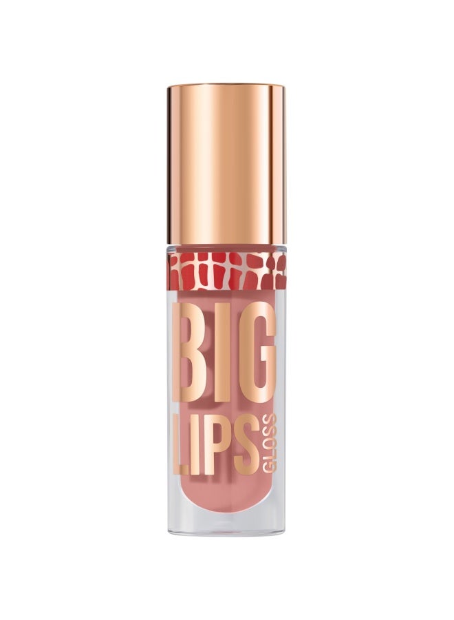 Lipgloss Big Lips shade 09