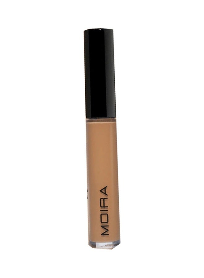 Lavish Creamy Concealer ( 006, Cinnamon )