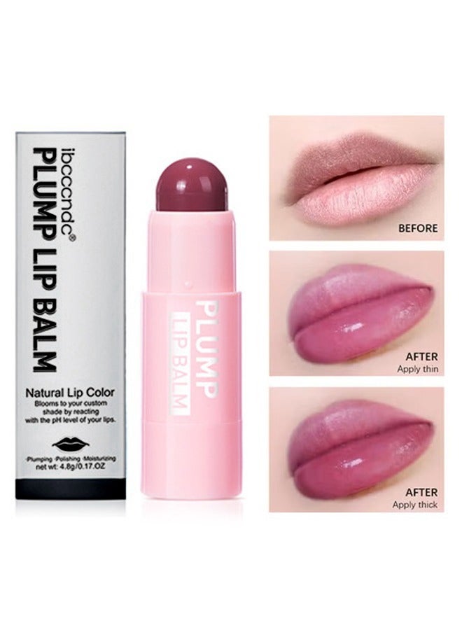 Lip Plumper Lip Balm - Natural Lip Color，Buildable Lip Color，Face Makeup with Lasting Hydration#01