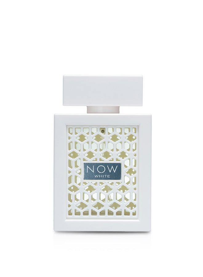 Spray Now White 100ml #
