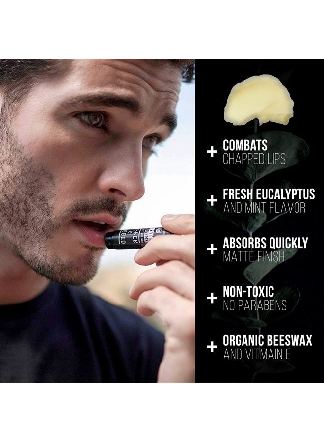 Organic Lip Balm for Men, Mens Chapstick Organic, Mens Lip Balm, Natural Chapstick for Men, Organic Chapstick Mint Lip Balm, Peppermint Lip Balm, All Natural Men's Lip Balm Chap Stick, Lip Therapy