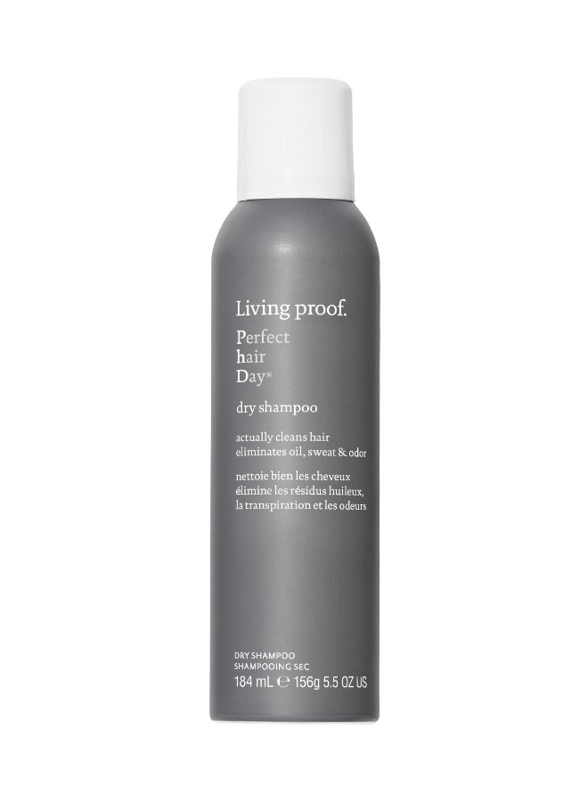 Fast-Acting Dry Shampoo - Refreshes Hair Instantly, Absorbs Dirt & Oil for a Clean Feel, Extends Time Between Washes (184 ml)