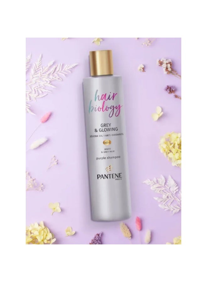 Silver And Glowing Jojoba Oil Anti Oxidants Blonde Grey And White Hair Pearl Shampoo 250 ML