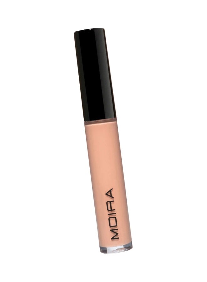 Lavish Creamy Concealer ( 003, Sweet Cream )