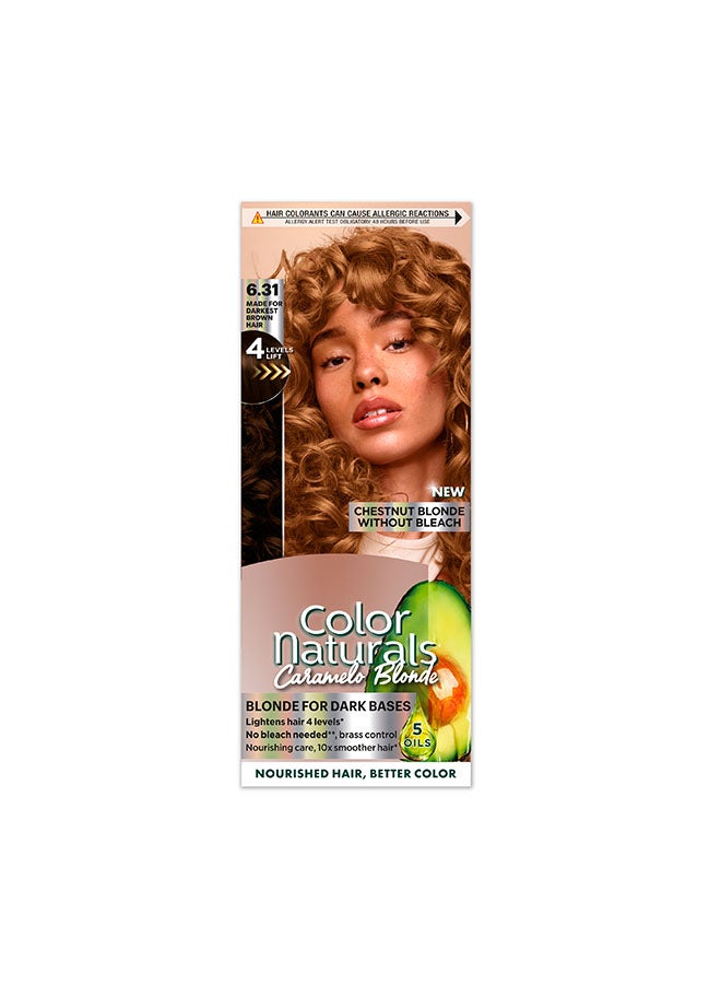 Garnier Color Naturals Caramelo Blonde Chestnut Blonde 6.31 Blonde for Dark Bases