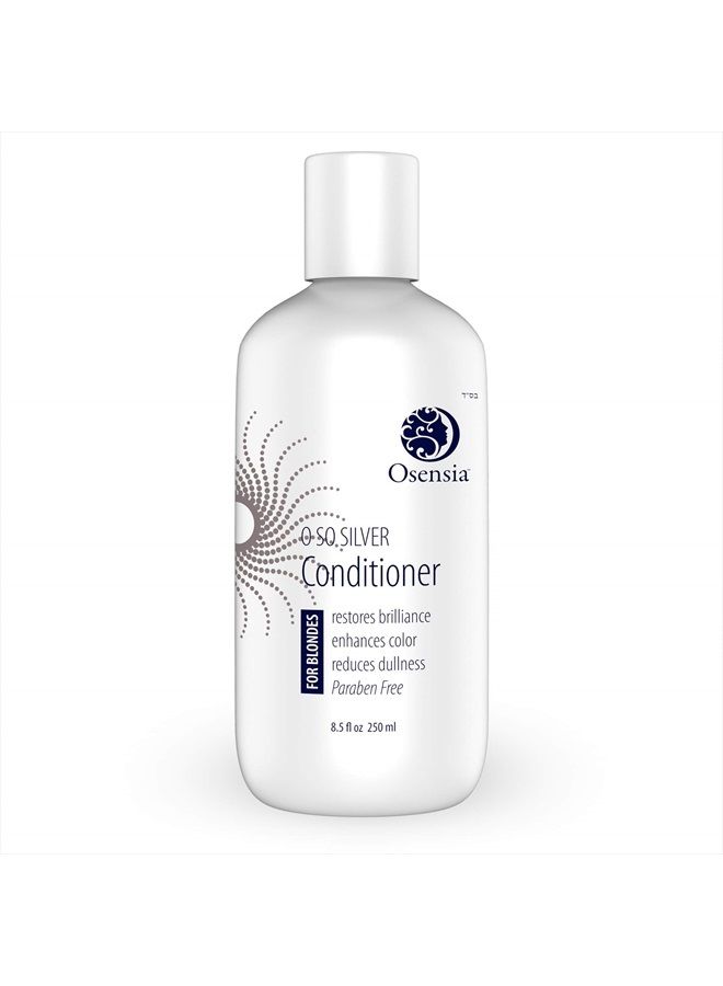 Silver Conditioner for Brassy Hair - Toning Purple Conditioner - Paraben Free Blonde Treatment for Highlights, Platinum, Bleached, and Gray Hair - Grape Seed Hydrates and Brightens Color