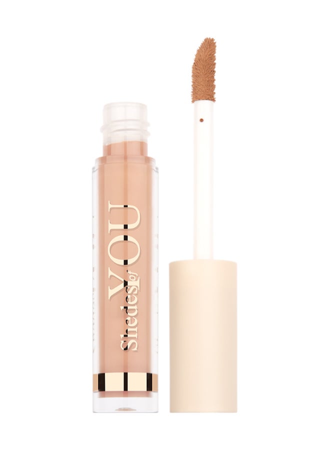 Shedes Of You Concealer