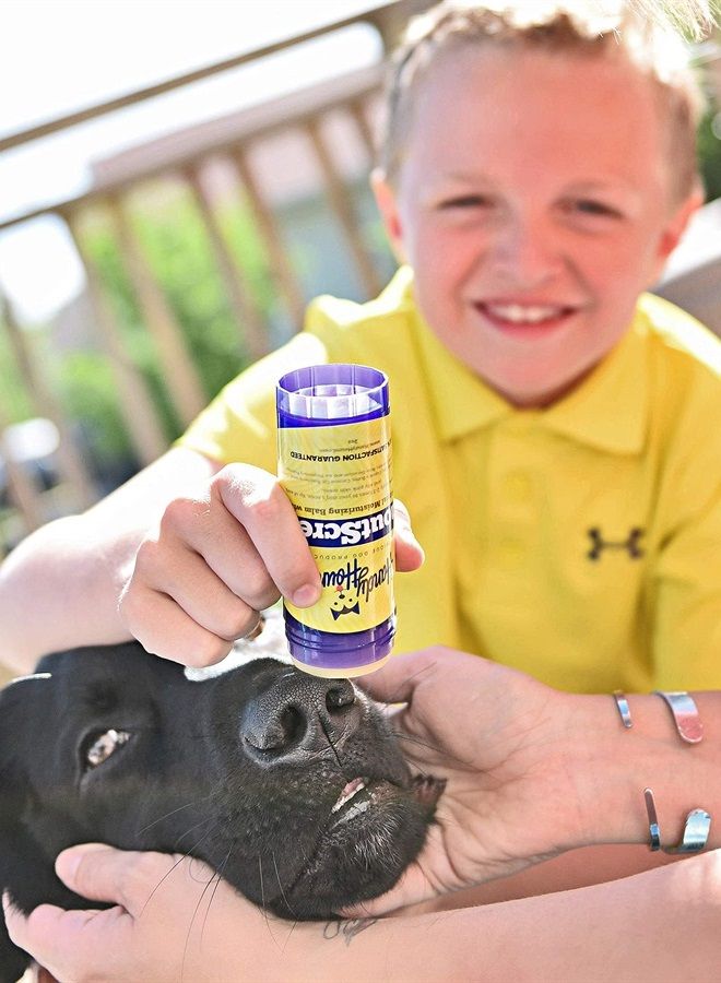 SnoutScreen - All-Natural Organic Vet-Recommended Dog Nose balm and Paw Balm with Natural Sunscreen - Made in the USA Protect Your Dog from Harmful UVA/UVB Rays - 2 oz