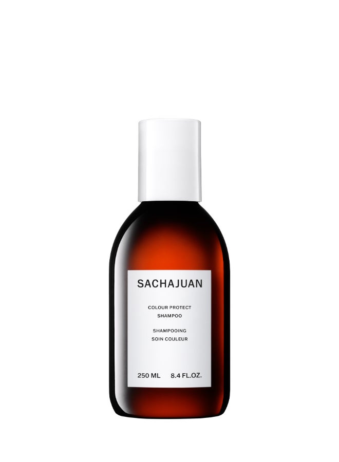 Color Protect Shampoo for Color-Treated Hair - Gently Cleanses to Prevent Color Fade, Shields Hair from Environmental Damage (250 ml)