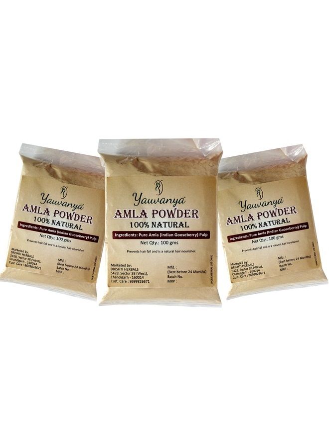 Pure Amla (Indian Gooseberry - super rich in Vitamin C) Powder for Hair and Skin 300 gms - 3 packs of 100 gms each