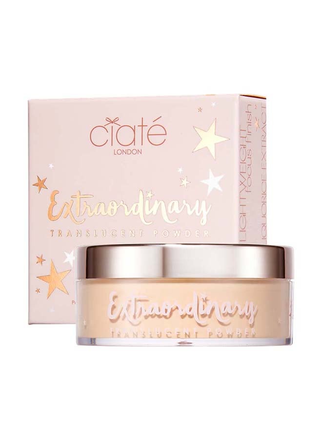 Extraordinary Transluscent Powder Honey - image 2