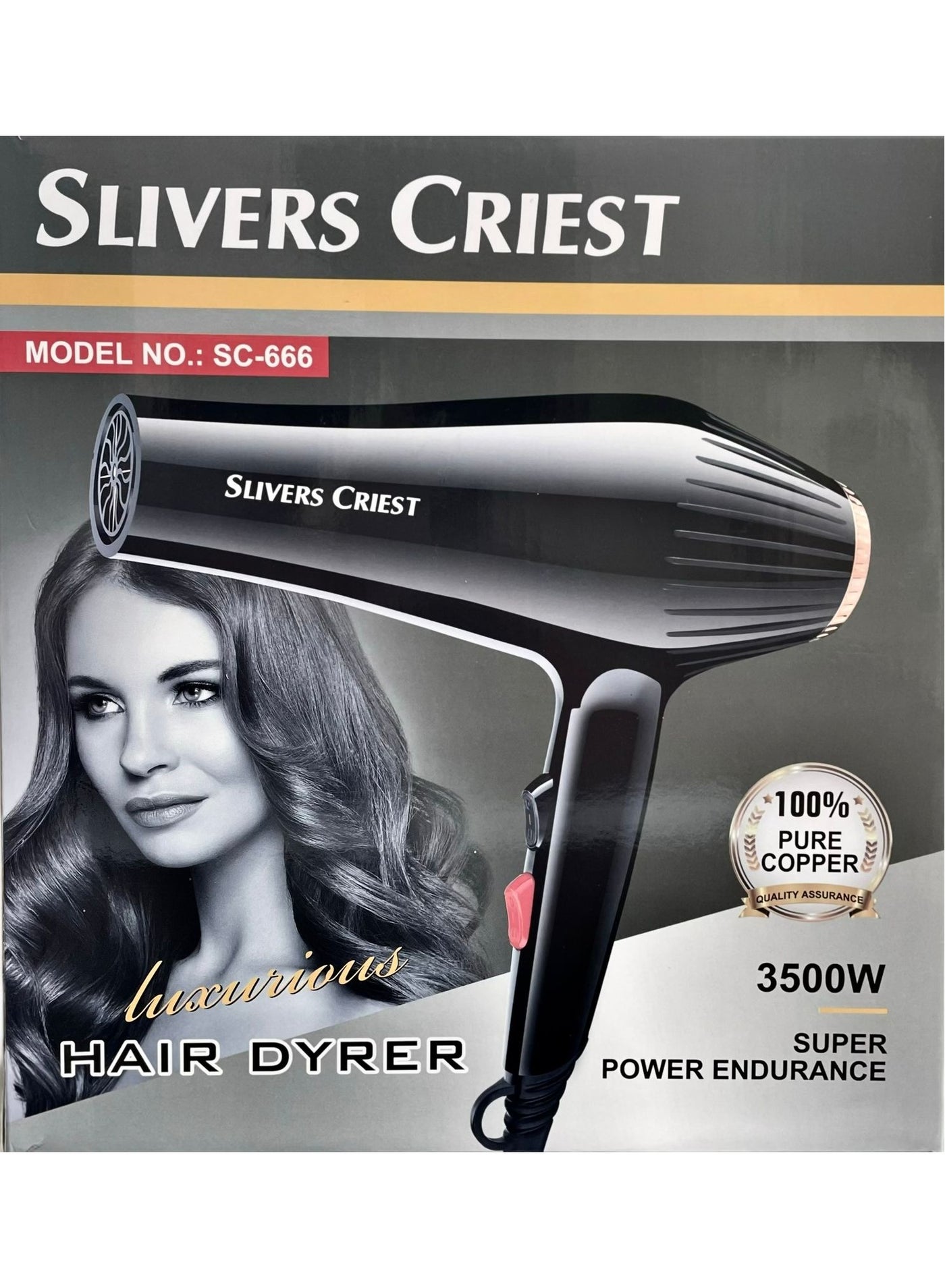 Professional Hair Dryer, Super Endurance Strong Wind Electric Hair Dryer With Accessories 3500W Black