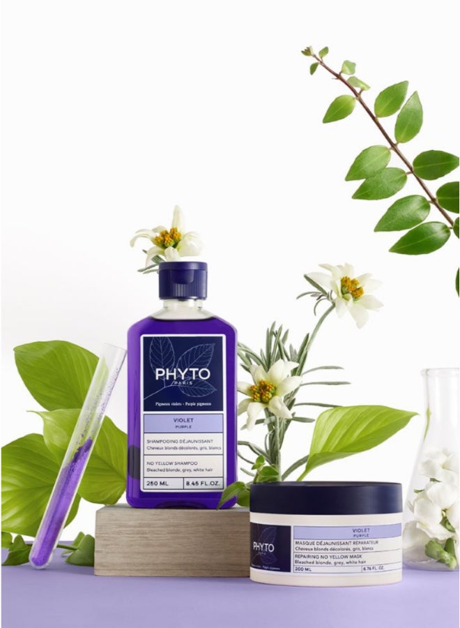 Phyto No Yellow Purple Shampoo, Toning Shampoo for Blonde, Grey & White Hair, Sulfate & Silicone-Free 250ml - image 7