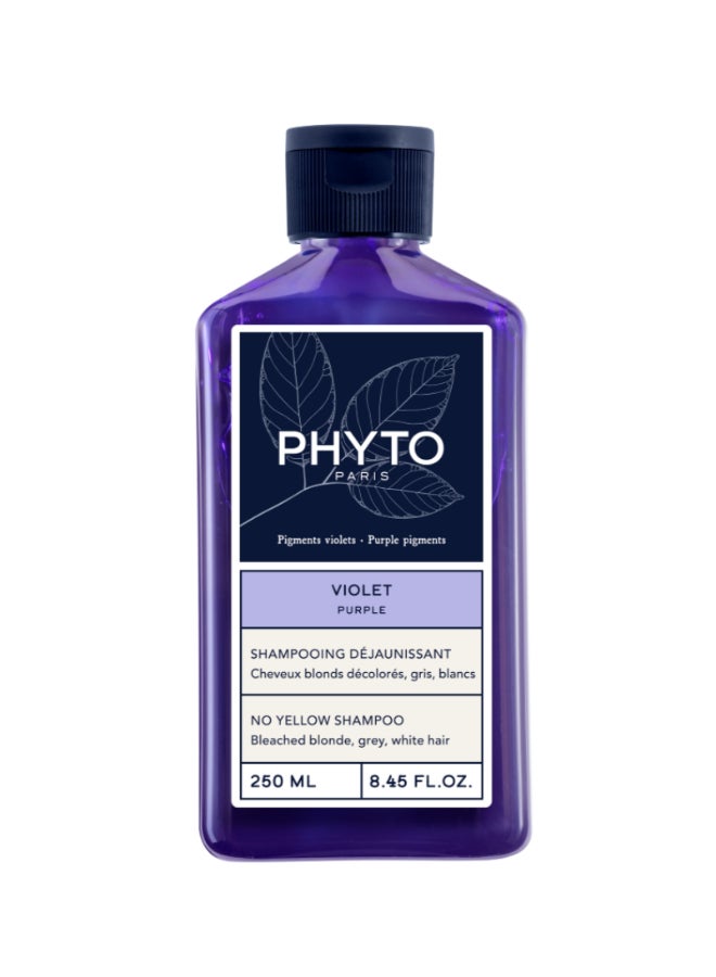 Phyto No Yellow Purple Shampoo, Toning Shampoo for Blonde, Grey & White Hair, Sulfate & Silicone-Free 250ml
