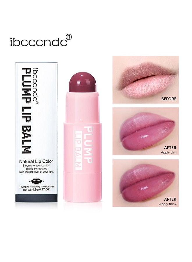 Lip Plumper Lip Balm Buildable Lip Color - Natural Gloss Finish - Face Makeup with Lasting Hydration
