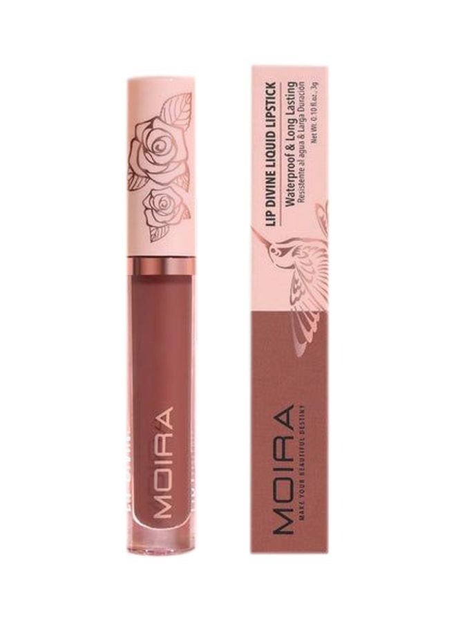 Lip Divine Liquid Lipstick (008, Play It Cool)