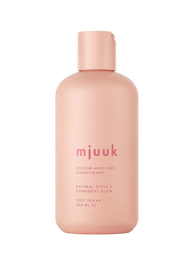 Colour Protecting Moisturising Conditioner | For Dry Colour Treated Hair Pro-Vitamin B5 Colour Lock Softness | 100 Percent | Vegan 250ml
