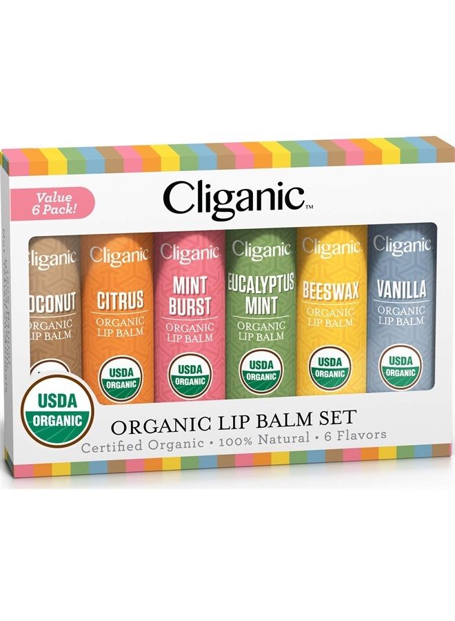 USDA Organic Lip Balm Set - 6 Flavors - 100% Natural Moisturizer for Cracked & Dry Lips