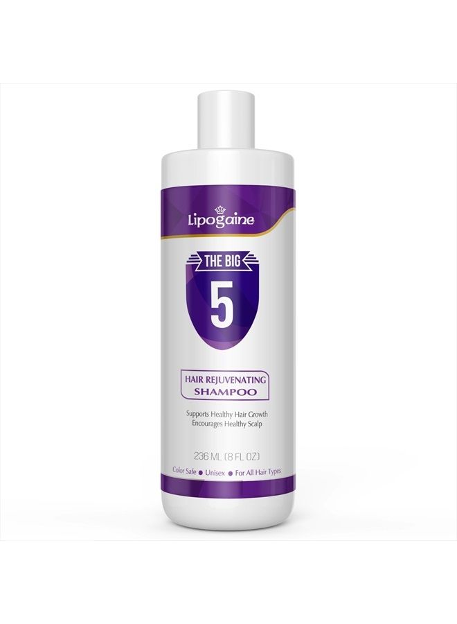 Big 5 Hair Stimulating Shampoo for Hair Thinning & Breakage, for All Hair Types, Men and Women, Infused With Biotin, Caffeine, Argan Oil, Castor oil and Saw Palmetto (Purple)