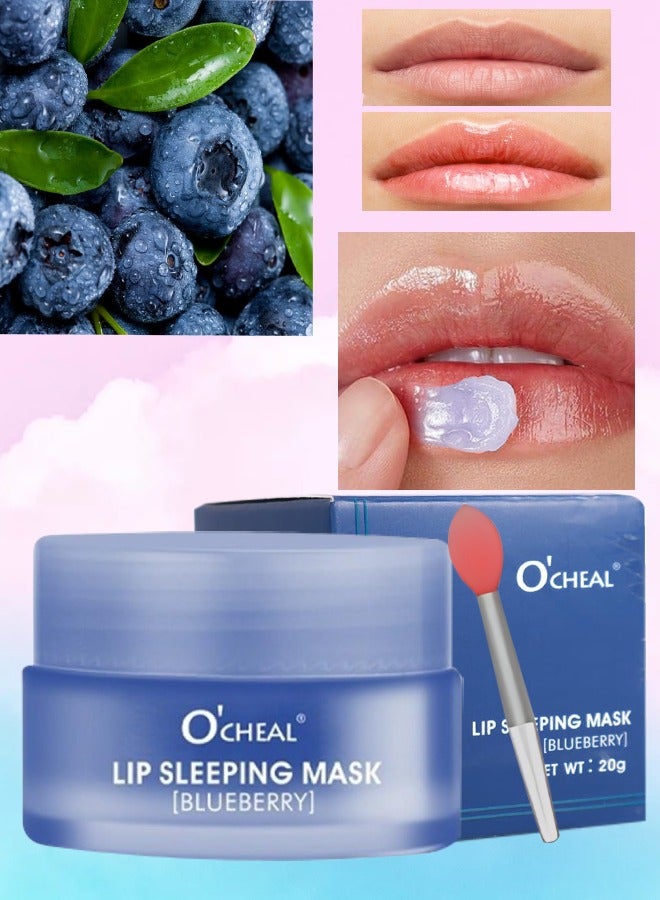 Lip Sleeping Mask Blueberry Lip Mask Tinted Lip Balm for Soothing Moisturizing Hydrating and Antioxidants Lip Plumper Lip Oil for Smooth and Soft Lips Exfoliate Lip Mask Applicator 20g
