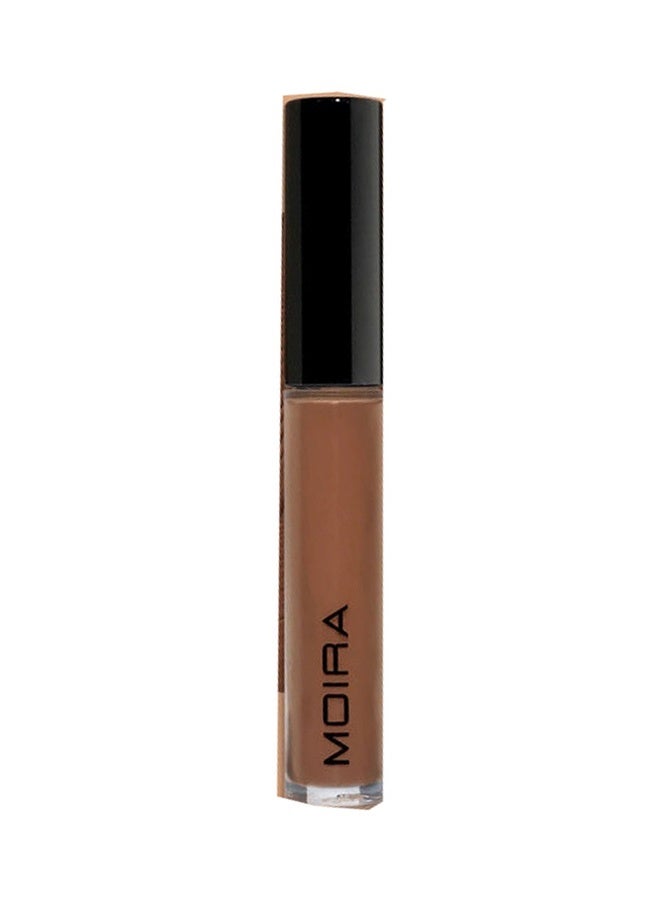 Lavish Creamy Concealer (900, Deep Hazelnut)
