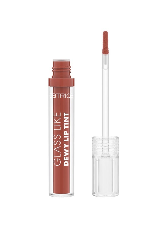 Glass Like Dewy Lip Tint 040