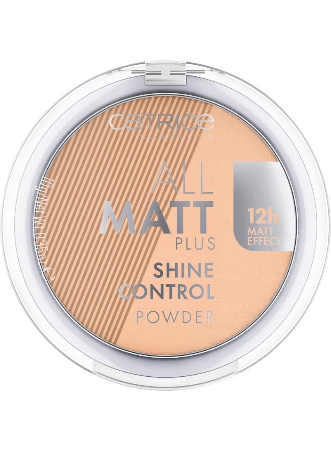 All Matt Plus Shine Control Powder 031