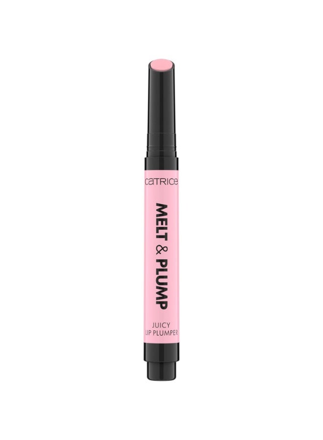 Melt And Plump Juicy Lip Plumper 010