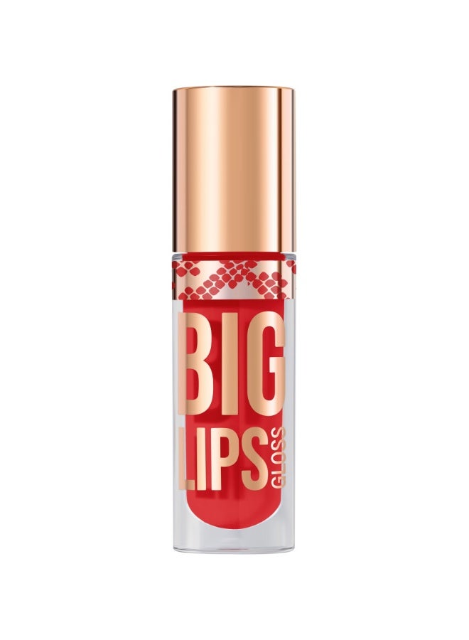 Lipgloss Big Lips shade 15