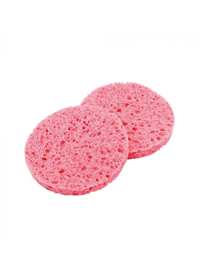 2 Cellulose Sponges Bt215
