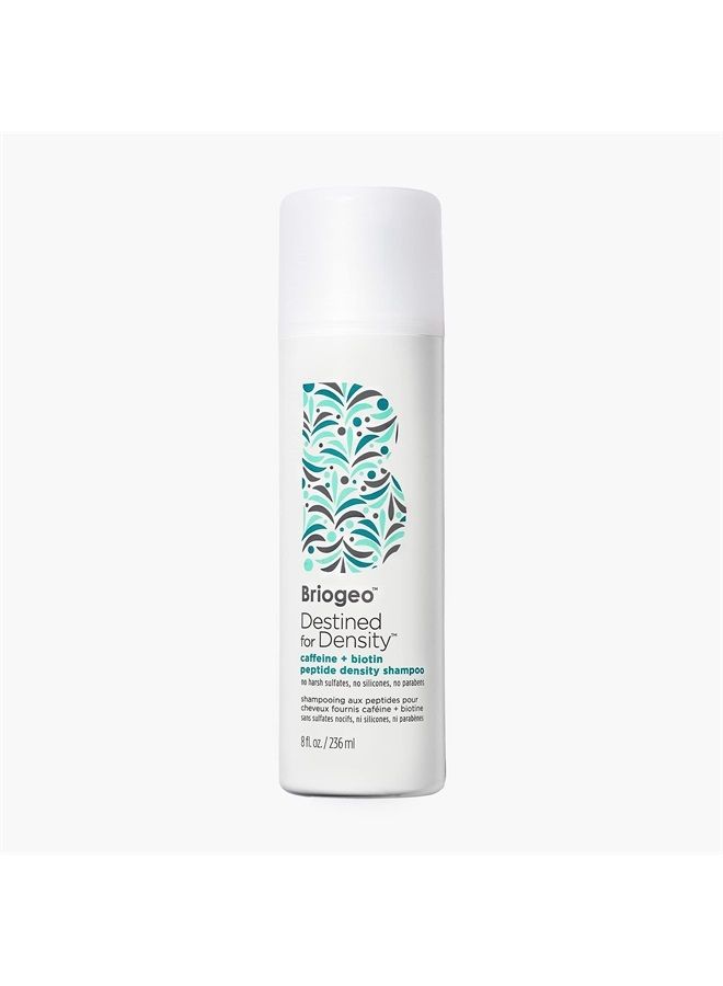 Destined For Density Caffeine + Biotin Peptide Density Shampoo, Increases Hair Thickness and Density, Vegan, Phalate & Paraben-Free, 8 Ounces