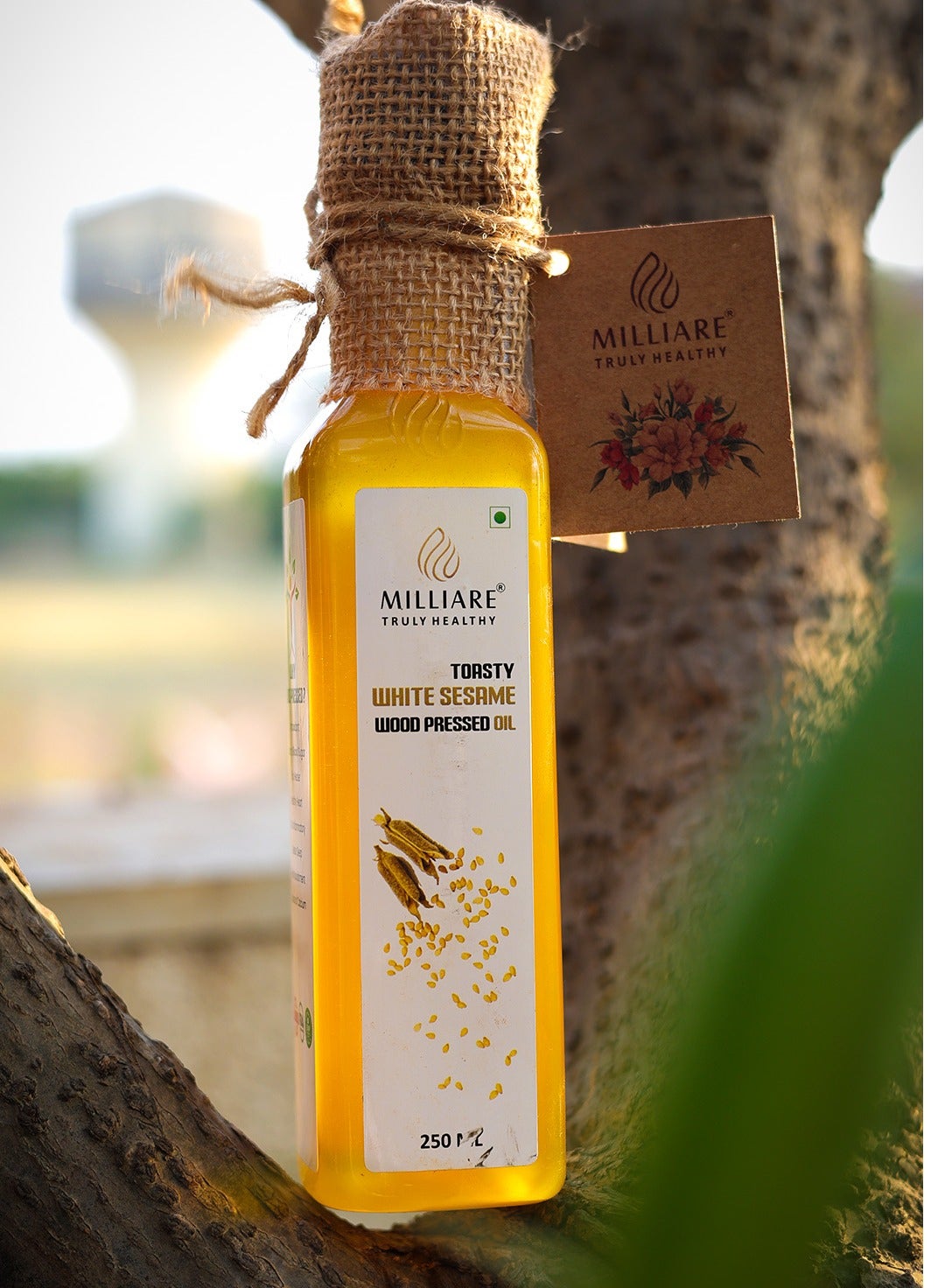 Milliare Natural (White Sesame) Wood Pressed Oil - 100% Pure Best for Body, Skin & Hair | Natural Sesame | Organic Essential Oil | 250 ml