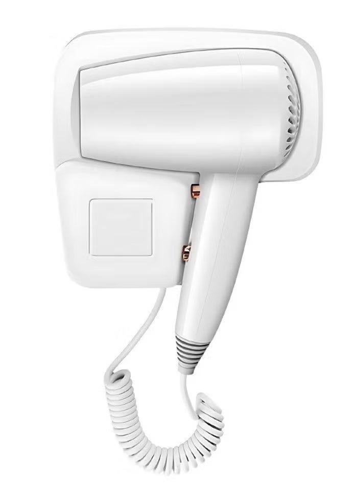 Professional Hair Dryer with Powerful Motor, Quick-Dry Technology, Ionic & Ceramic Features, Multiple Heat and Speed Levels, Lightweight Design for Smooth, Shiny, Frizz-Free Hair
